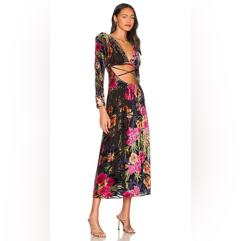 WE WORE WHAT CUT OUT FLOCKED VELVET DRESS